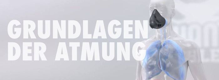 Die Grundlagen der Atmung