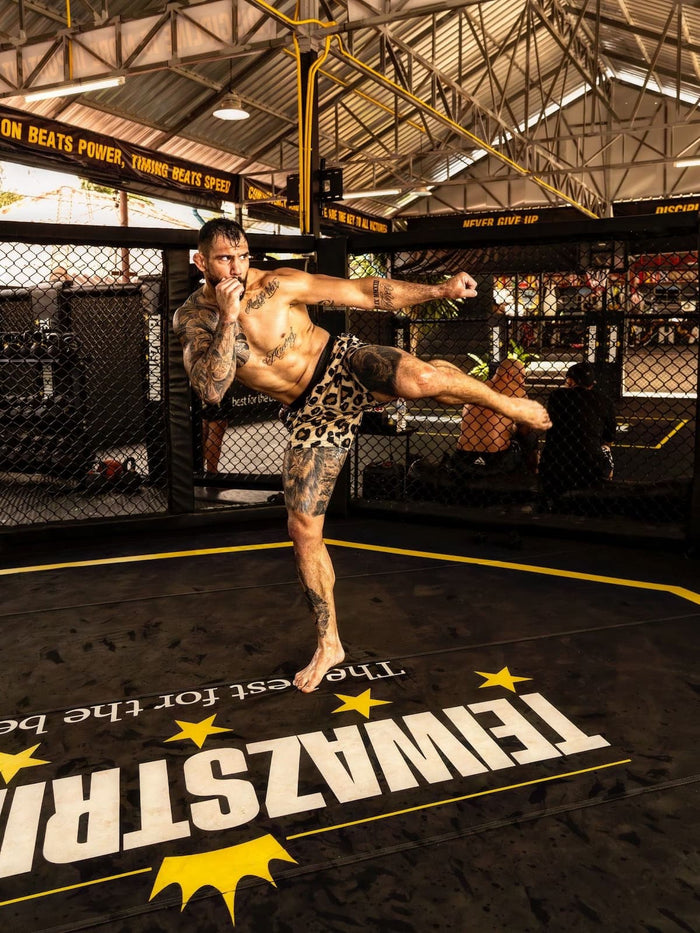 UFC-Fighter Aleksandar 