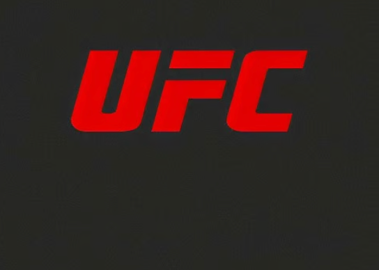 UFC-Logo