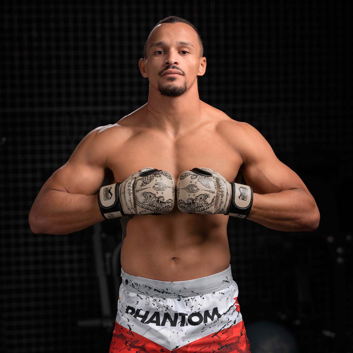 Sparring Handschuhe Muay Thai - Sandgrau