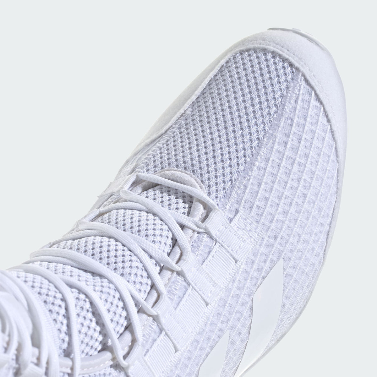 Boxschuhe ADIDAS Speedex 23 - Weiß