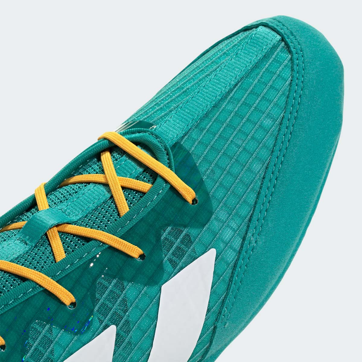 Boxschuhe ADIDAS Box Hog 4 - Türkis/Pink