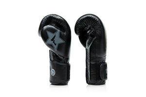 Robuste FXB-BG-V2 Boxhandschuhe von Fairtex für Muay Thai und andere Vollkontakt-Sportarten. Bieten sicheren Halt, starke Dämpfung und sind perfekt für tägliches Training im Kampfsport.