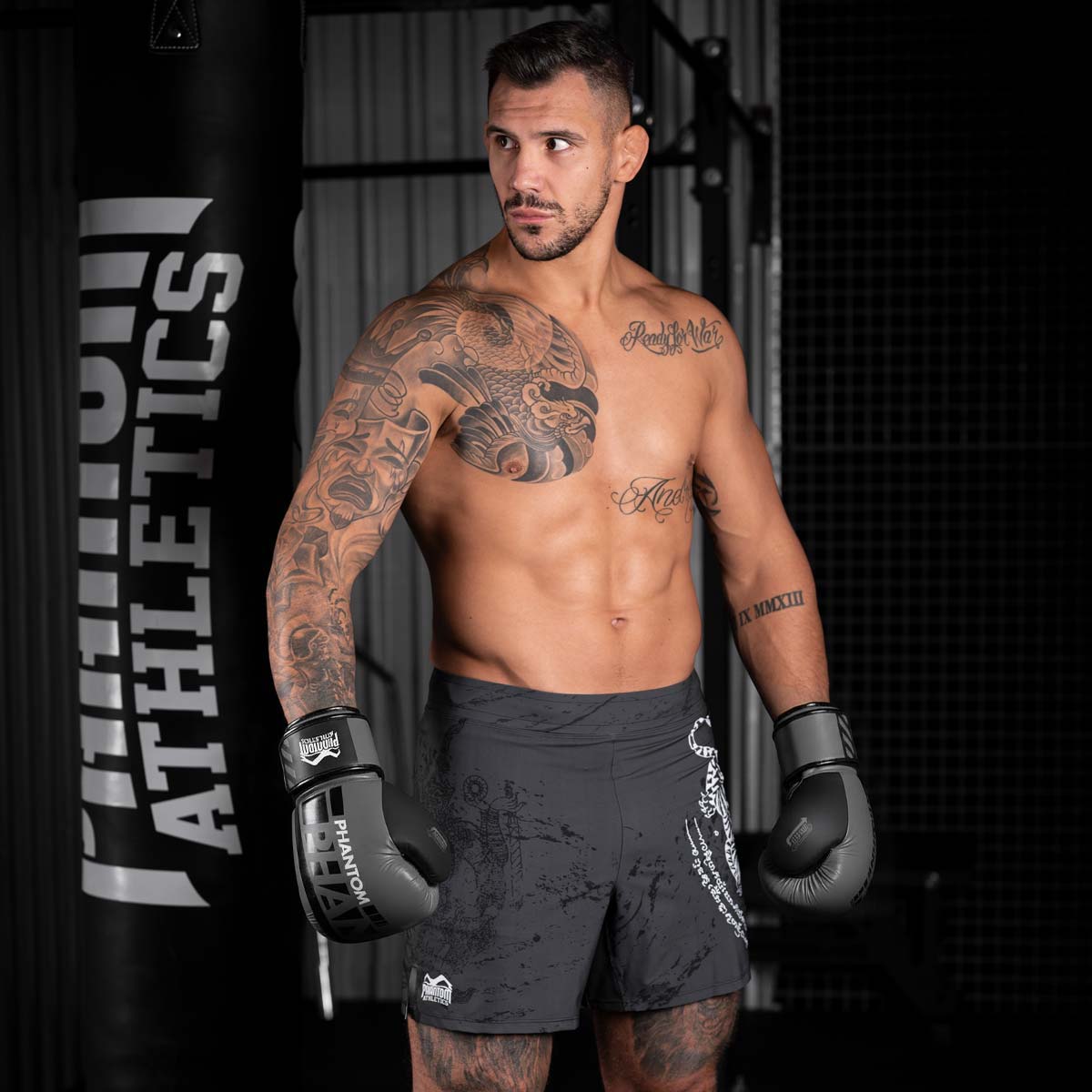 Boxhandschuhe APEX - Grau