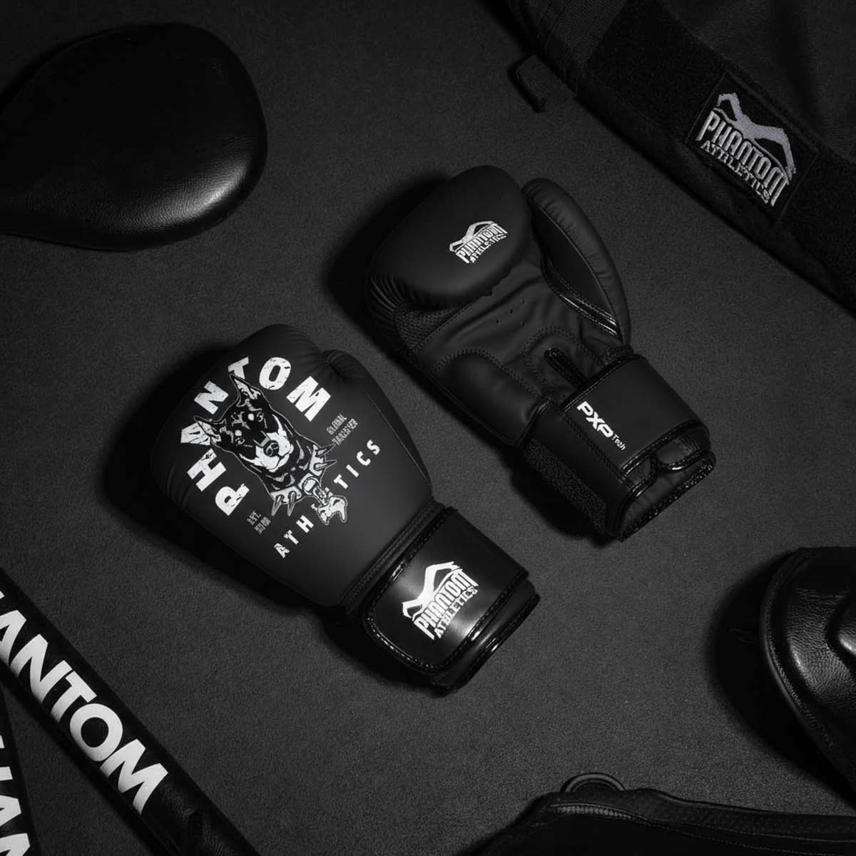 Boxhandschuhe APEX - Dobermann