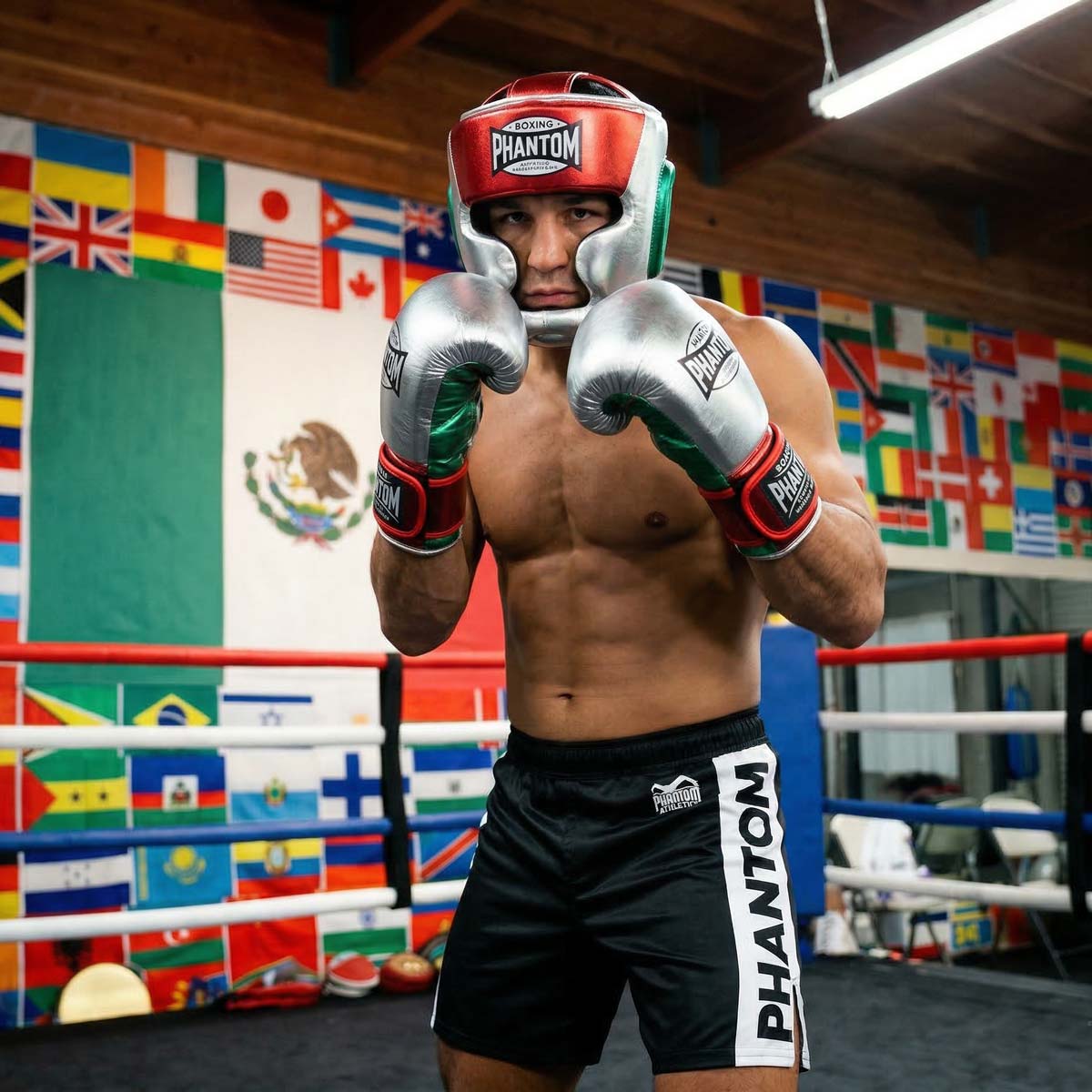 Boxhandschuhe MEXICO - Silber/Grün/Rot