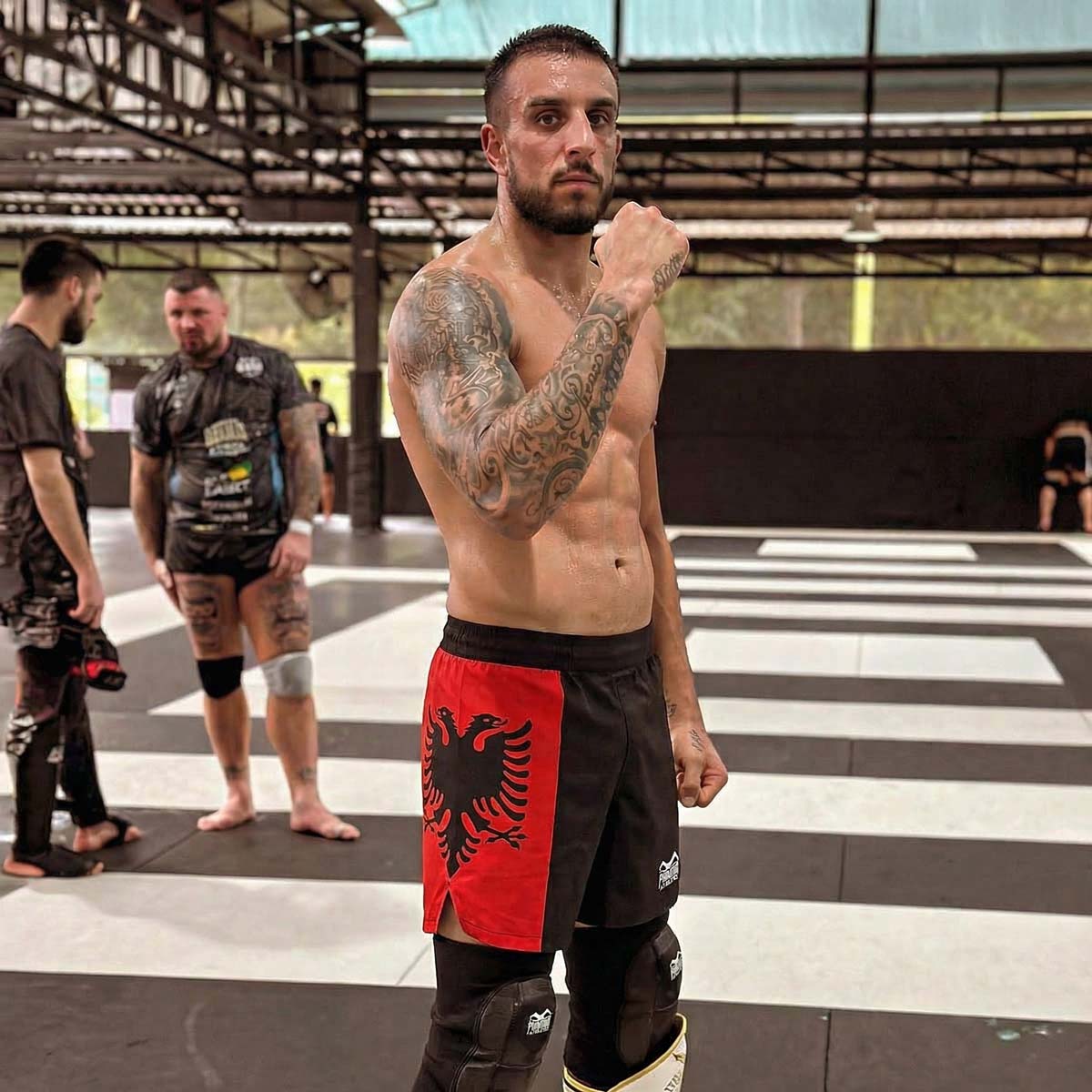 Fightshorts FUSION-R - Team Albania