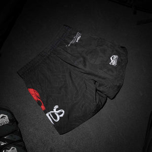 Fightshorts von Phantom Athletics im Mexiko-Design – ideal für MMA, Grappling und Kickboxen. Robustes Material und funktioneller Schnitt sorgen für maximale Beweglichkeit und Performance im Training.