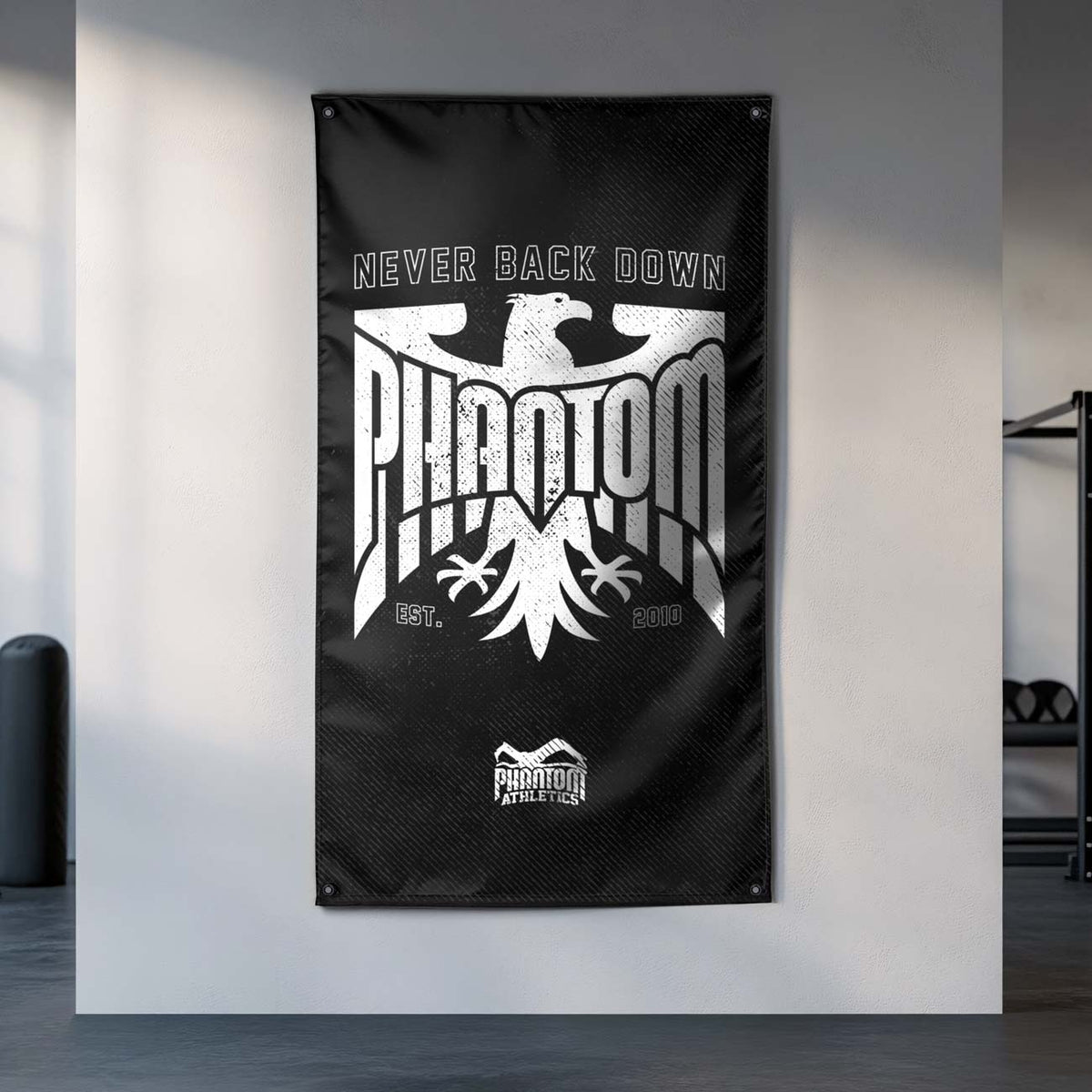 Gym‑Flagge „Germany“ von Phantom Athletics – hochwertige Kampfsport‑Flagge im Deutschland‑Design (85 × 145 cm, 100 % Polyester) mit Ösen zur Befestigung im Homegym, Trainingsraum oder Verein.