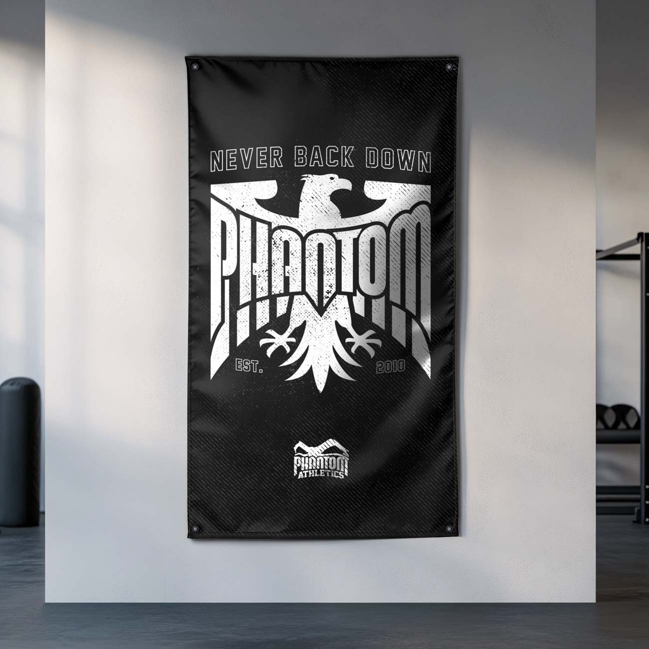 Gym‑Flagge „Germany“ von Phantom Athletics – hochwertige Kampfsport‑Flagge im Deutschland‑Design (85 × 145 cm, 100 % Polyester) mit Ösen zur Befestigung im Homegym, Trainingsraum oder Verein.