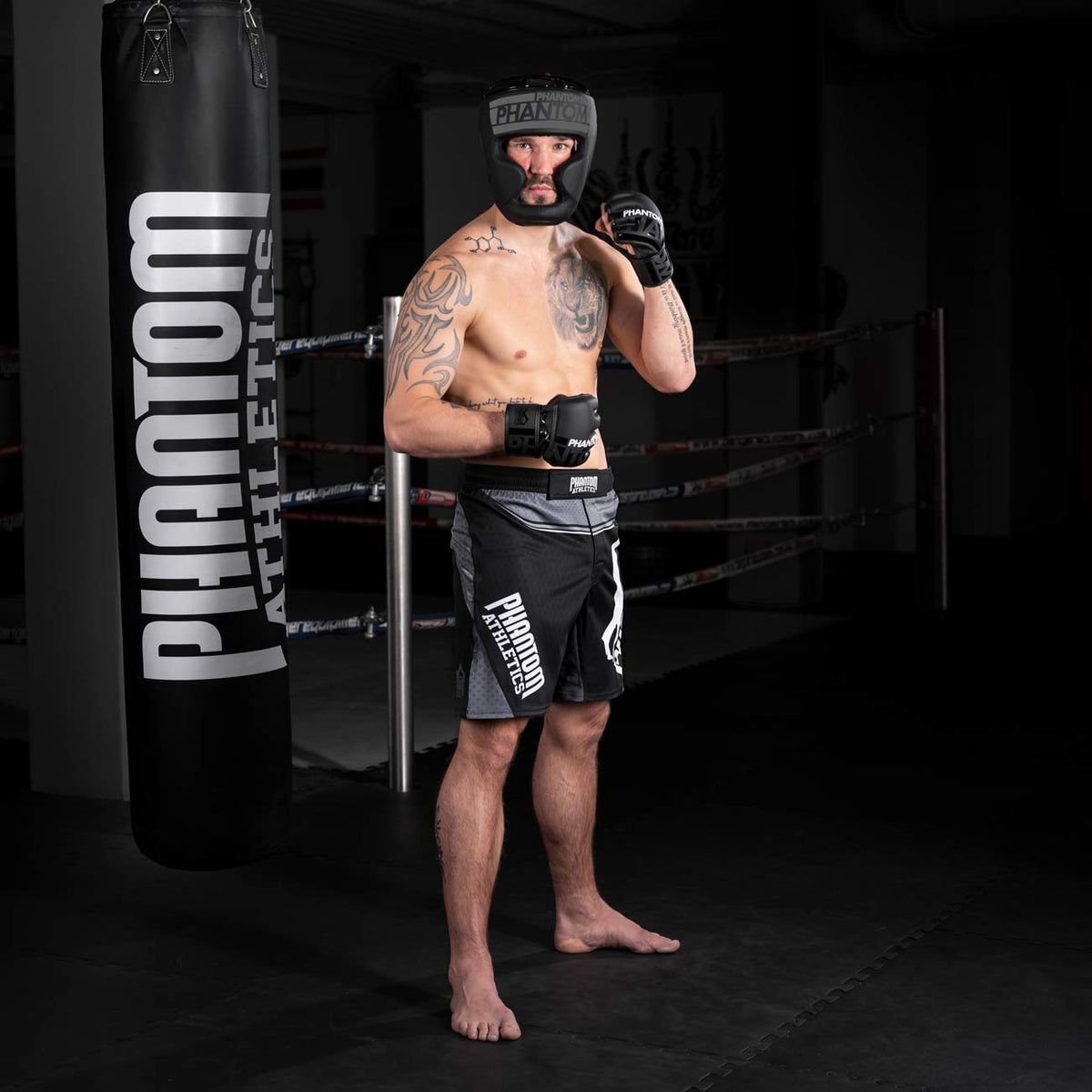 Kopfschutz APEX Full Face - Schwarz/Grau