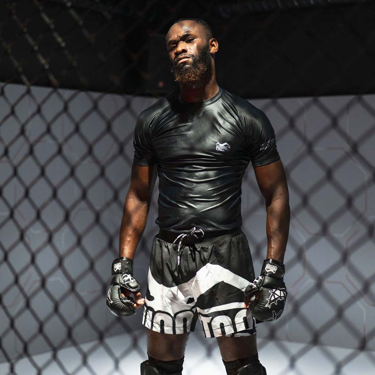 kampfsport ohne handschuhe MMA Sparrings Handschuhe SERIOUS | Kampfsport Training