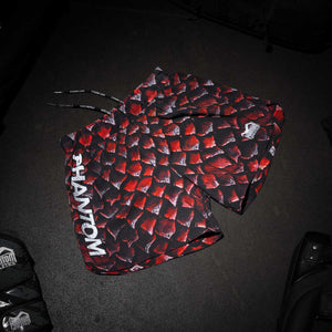 Die Phantom Athletics Fightshorts Fusion Red Dragon stehen für Stärke, Dynamik und asiatisch inspirierten Kampfgeist. Mit ihrem markanten roten Drachen-Motiv sind sie perfekt für MMA, Kickboxen, Grappling oder No-Gi geeignet. Funktionalität und Stil gehen hier nahtlos ineinander über – für ambitionierte Kampfsportler.