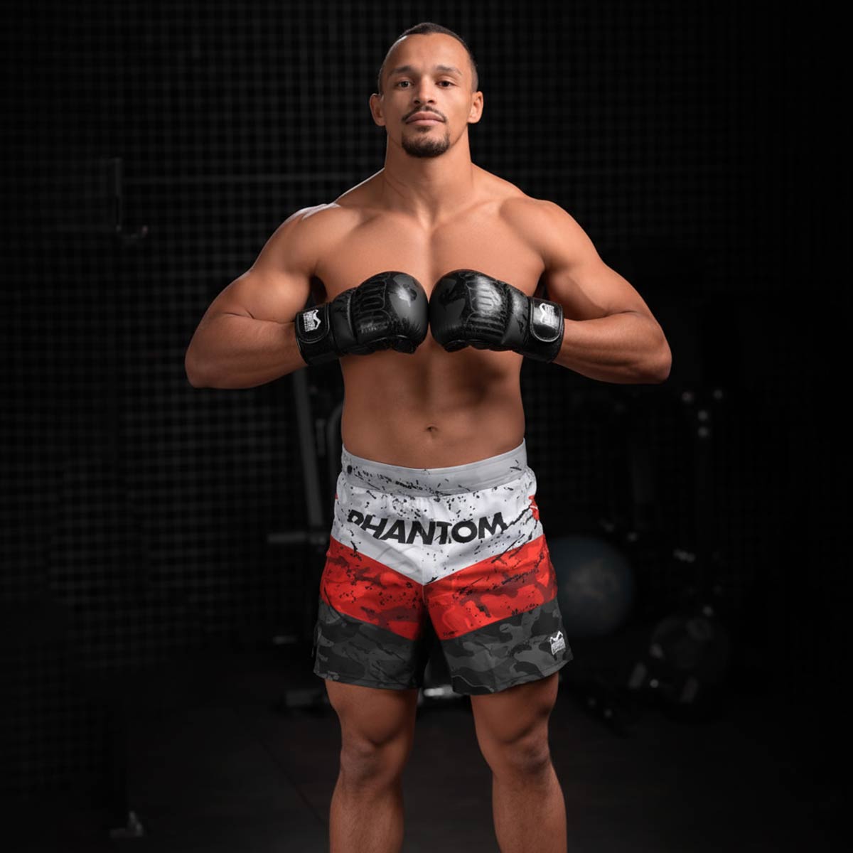 MMA Sparring Handschuhe German Eagle