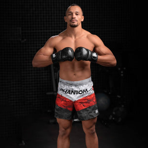 MMA Sparring Handschuhe German Eagle