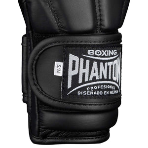 MMA Sparring Handschuhe Mexico - Schwarz