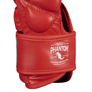 MMA Sparring Handschuhe Mexico - Rot