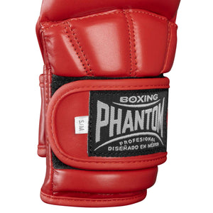 MMA Sparring Handschuhe Mexico - Rot