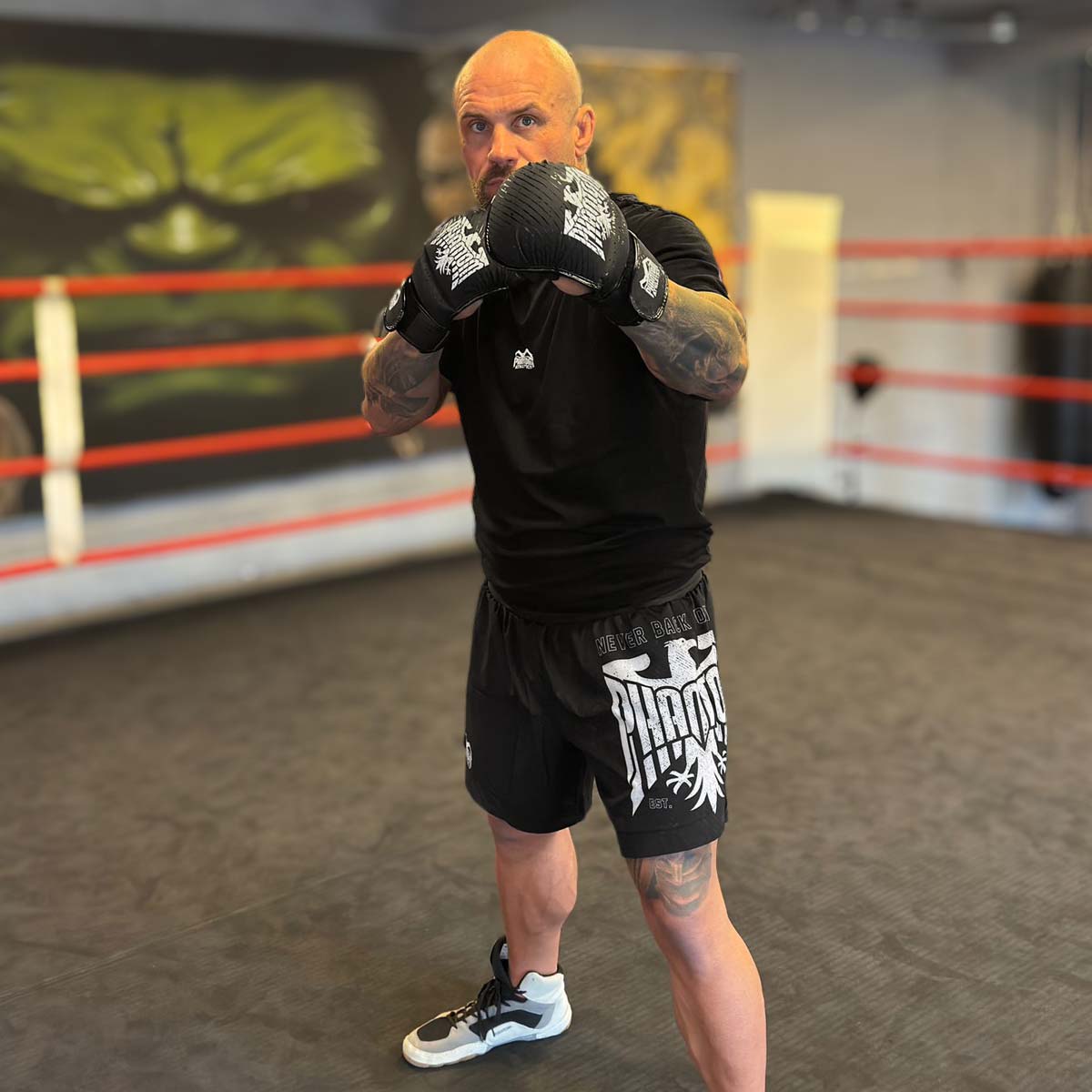 Premium Phantom Athletics MMA Sparring Handschuhe im Team Germany-Look mit auffälligem Adler-Print für ambitionierte Kampfsportler und Wettkampfpraxis.