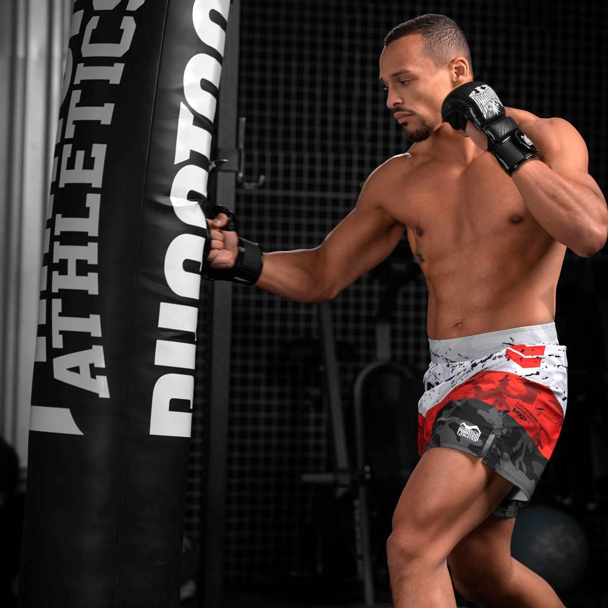 MMA Sparring Handschuhe Germany