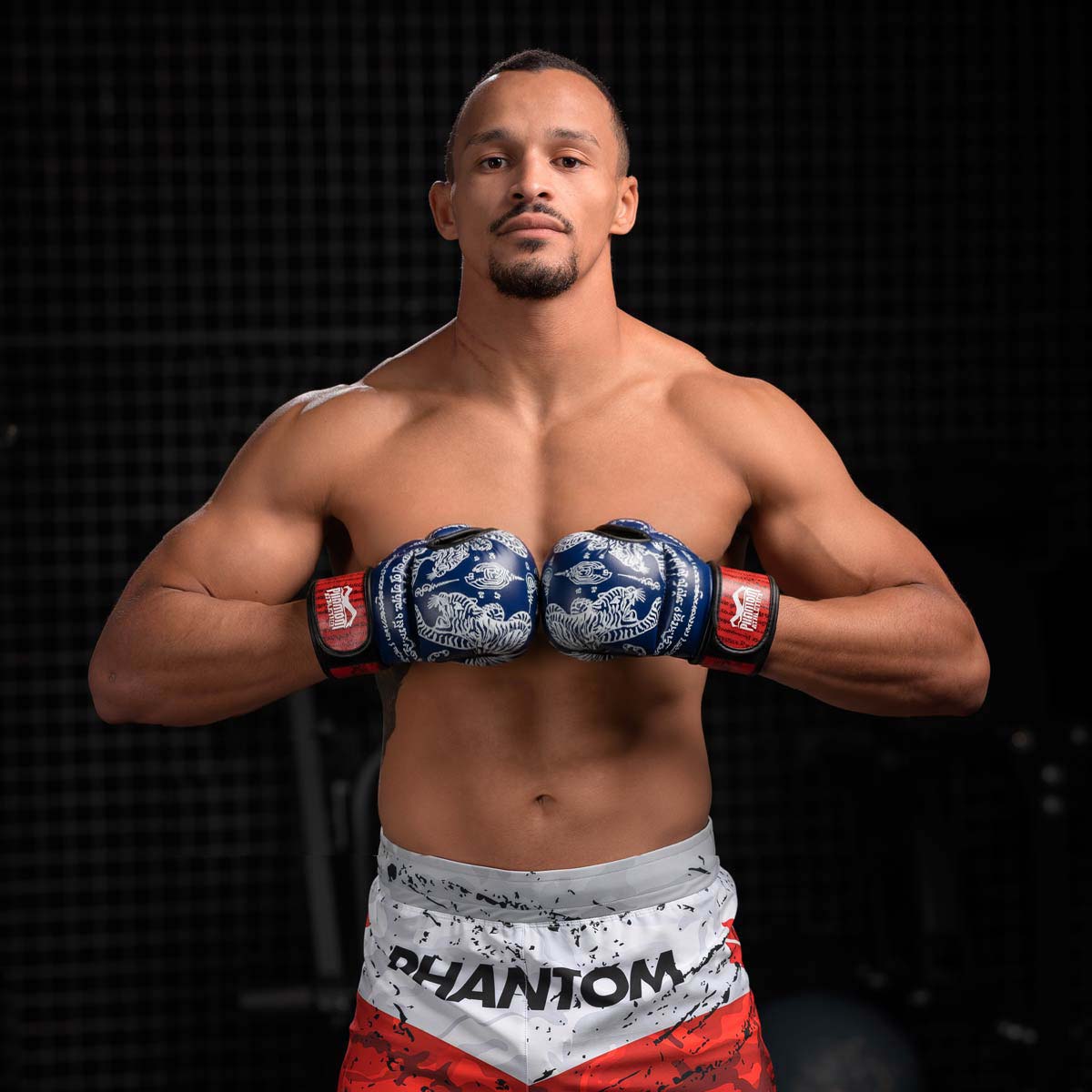 Sparring Handschuhe Muay Thai - Blau