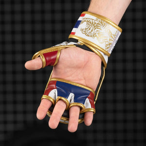 Sparring Handschuhe Muay Thai - Limited Edition