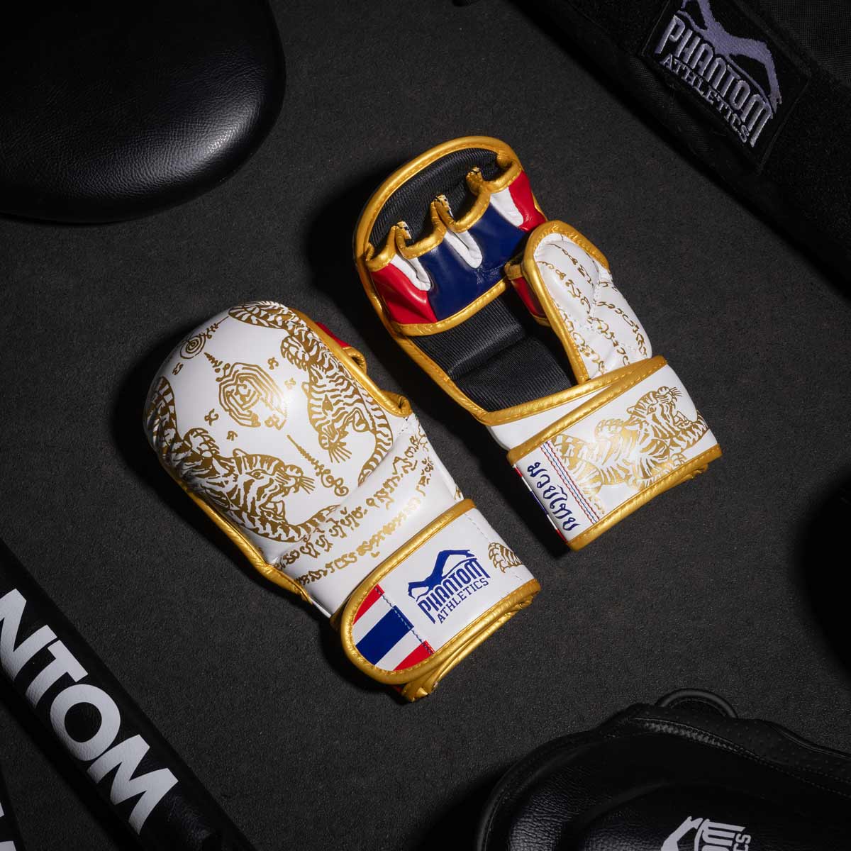 Sparring Handschuhe Muay Thai - Limited Edition