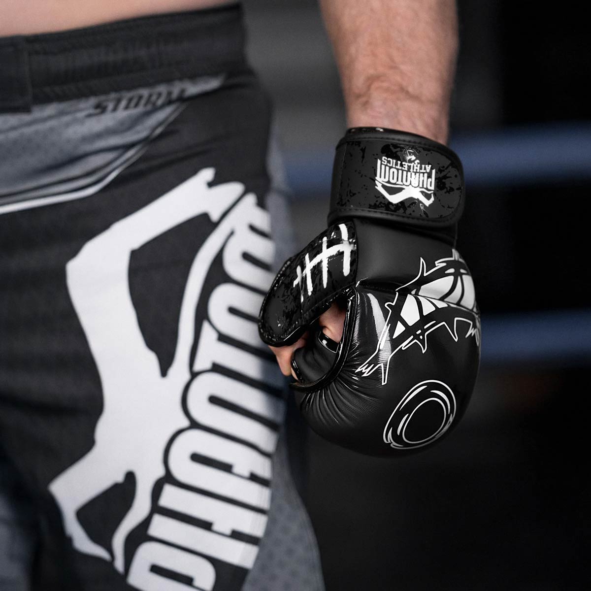 MMA Sparring Handschuhe Serious