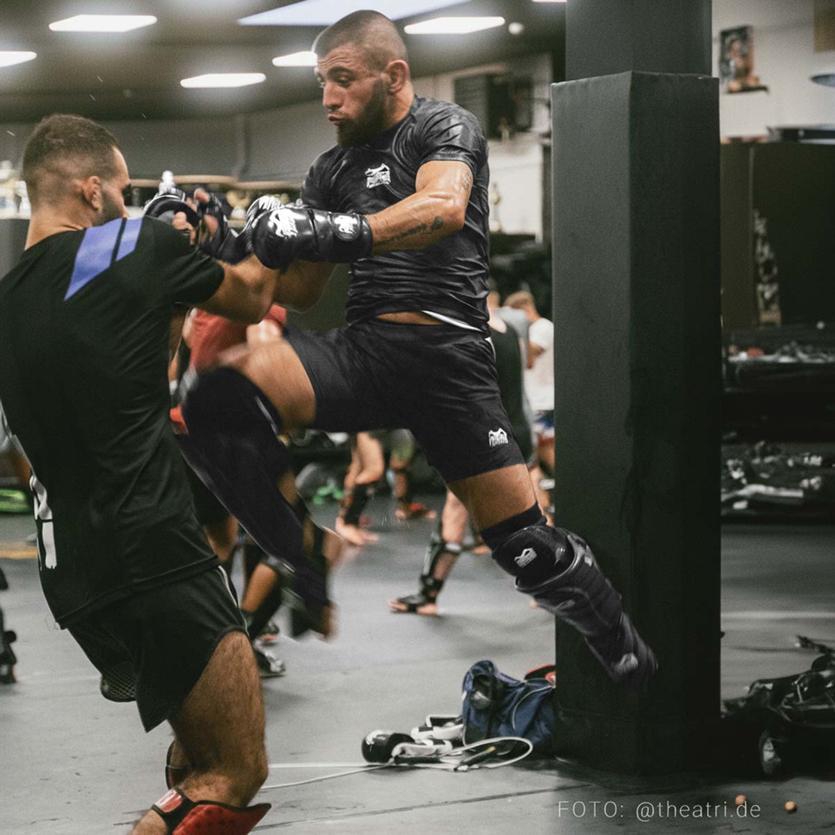 MMA Sparring Handschuhe Camo Tiger - Grau