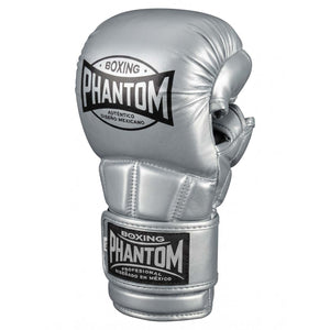 MMA Sparring Handschuhe MEXICO - Titan