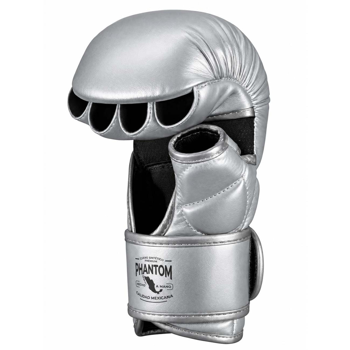 MMA Sparring Handschuhe MEXICO - Titan