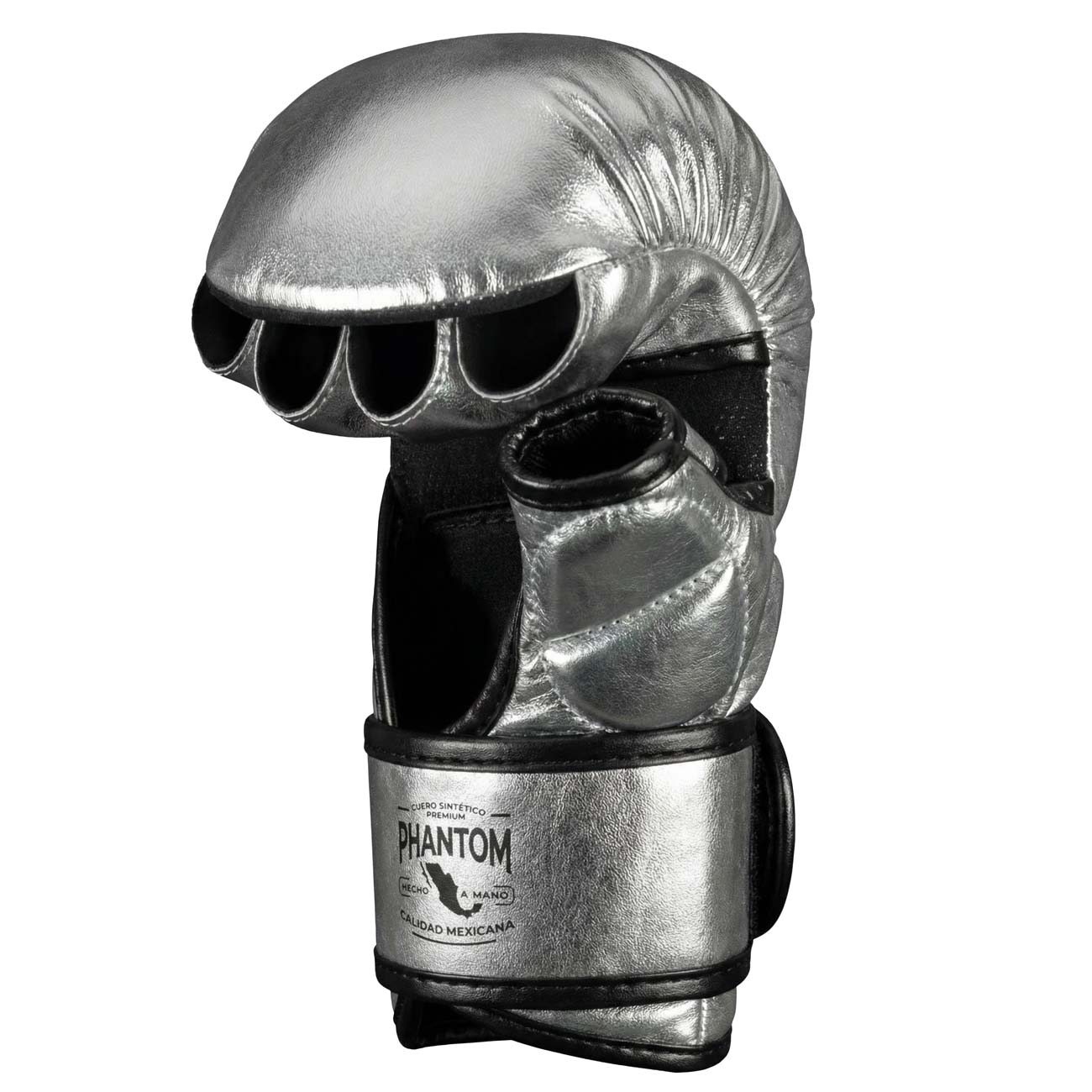 silberne handschuhe MMA Handschuhe MEXICO | Training & Sparring