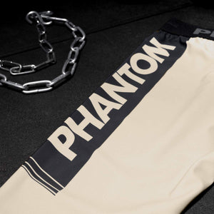 Lange Compression Tights von Phantom für deinen Kampfsport. Überragende Qualität, Passform und Komfort. Perfekt für MMA, Grappling, Muay Thai, BJJ oder auch Ringen. Die beste Kampfsport Legging auf dem Markt. Hier im Sand-farbenen Apex Design.