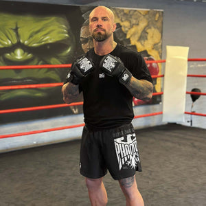 MMA Sparring Handschuhe Germany