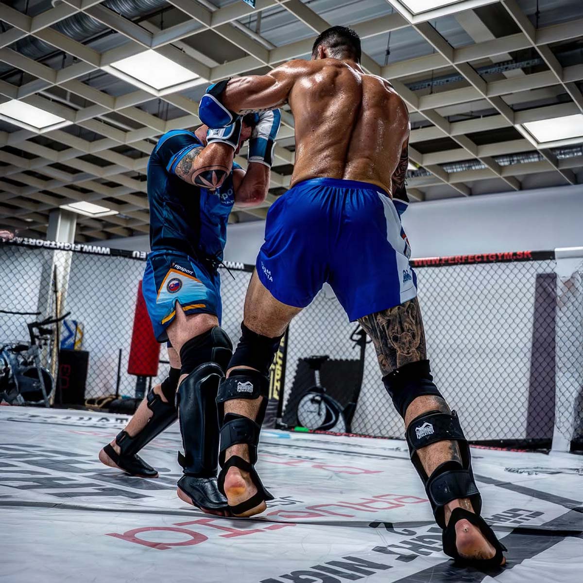 Phantom Athletics Fightshorts Fusion-R im auffälligen Team Serbia Design – ideal für MMA, Kickboxen und Grappling mit maximaler Bewegungsfreiheit und robuster Qualität.