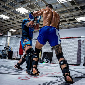 Phantom Athletics Fightshorts Fusion-R im auffälligen Team Serbia Design – ideal für MMA, Kickboxen und Grappling mit maximaler Bewegungsfreiheit und robuster Qualität.