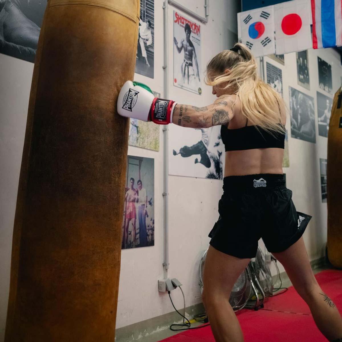 Boxhandschuhe MEXICO - Weiß/Grün/Rot