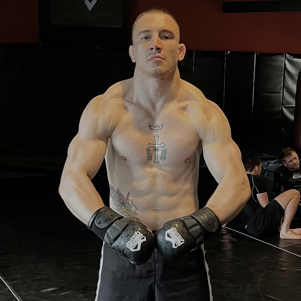 MMA Sparring Handschuhe ELITE