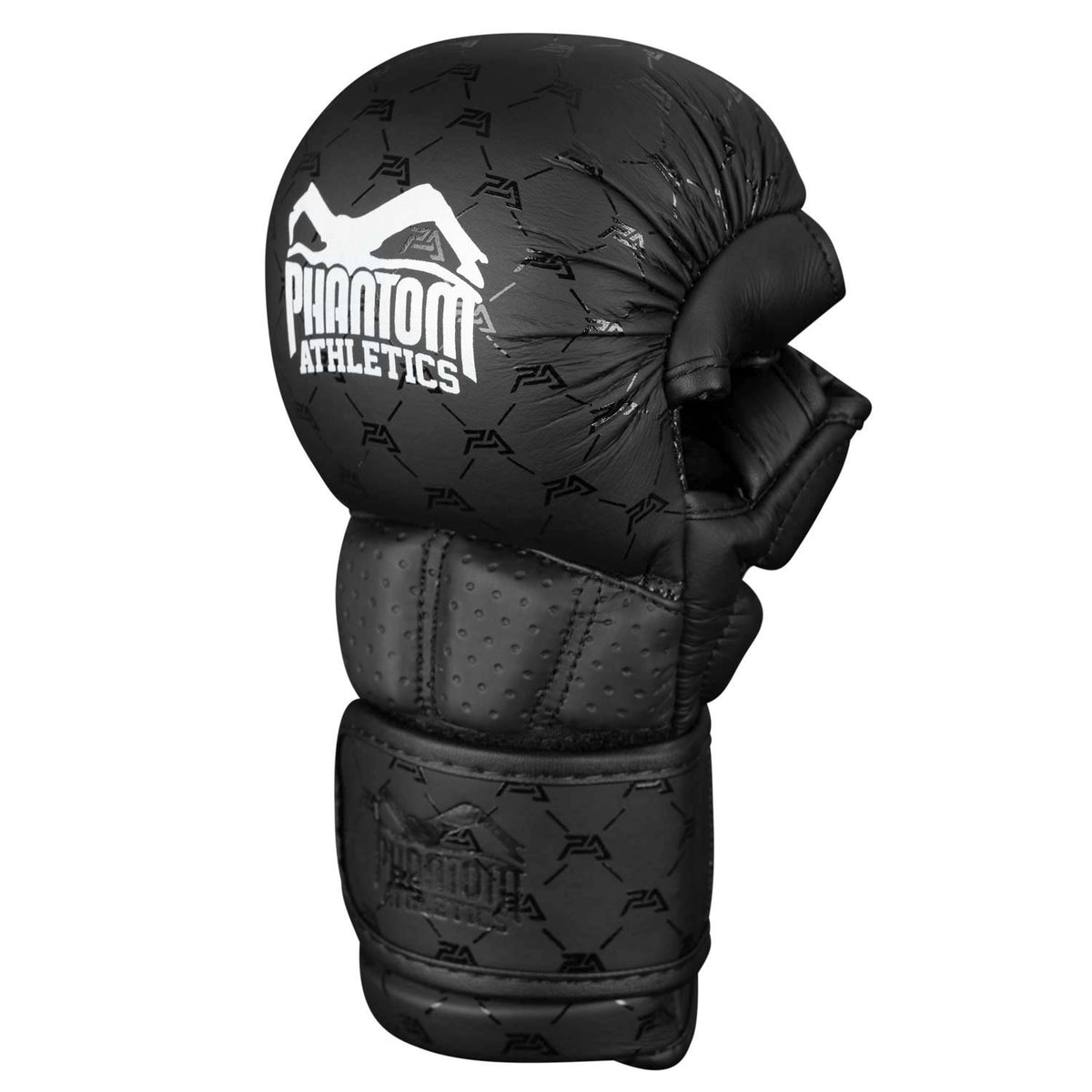 MMA Sparring Handschuhe ELITE