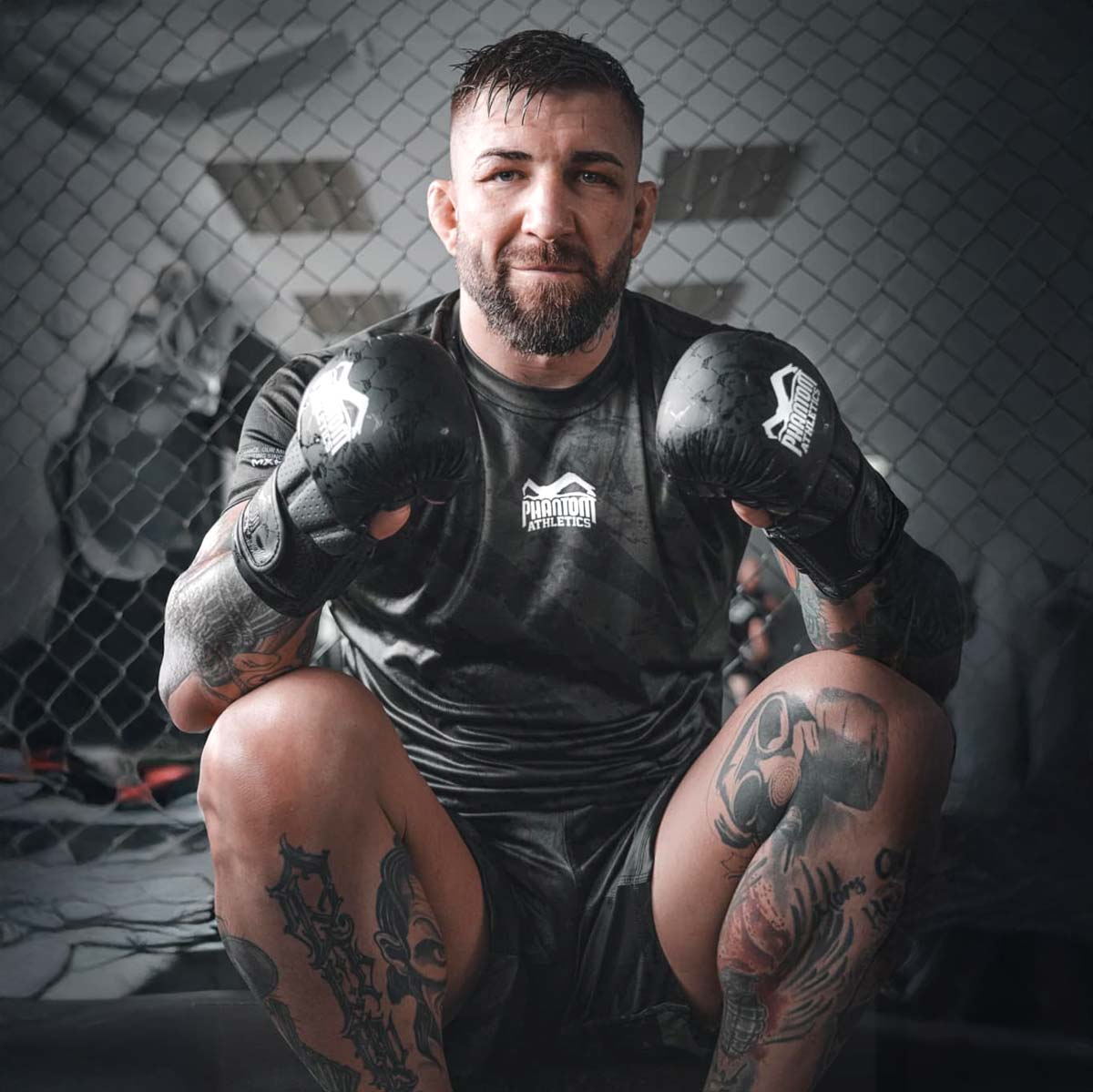 MMA Sparring Handschuhe ELITE