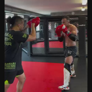 Hochwertige Phantom Athletics Ellenbogenschoner Riot Pro, ideal für Sparring im Muay Thai, Kickboxen und Jiu-Jitsu.