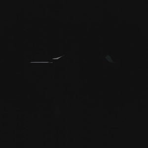 Hochwertige Phantom Ringerschuhe Tactic mit rutschfester Sohle für maximalen Halt. Ideal für Training und Wettkämpfe im Wrestling-Sport.