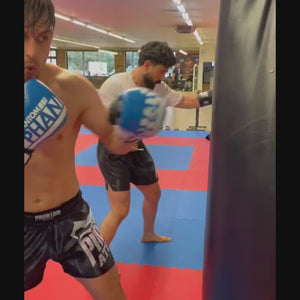 Boxhandschuhe APEX - BLUE