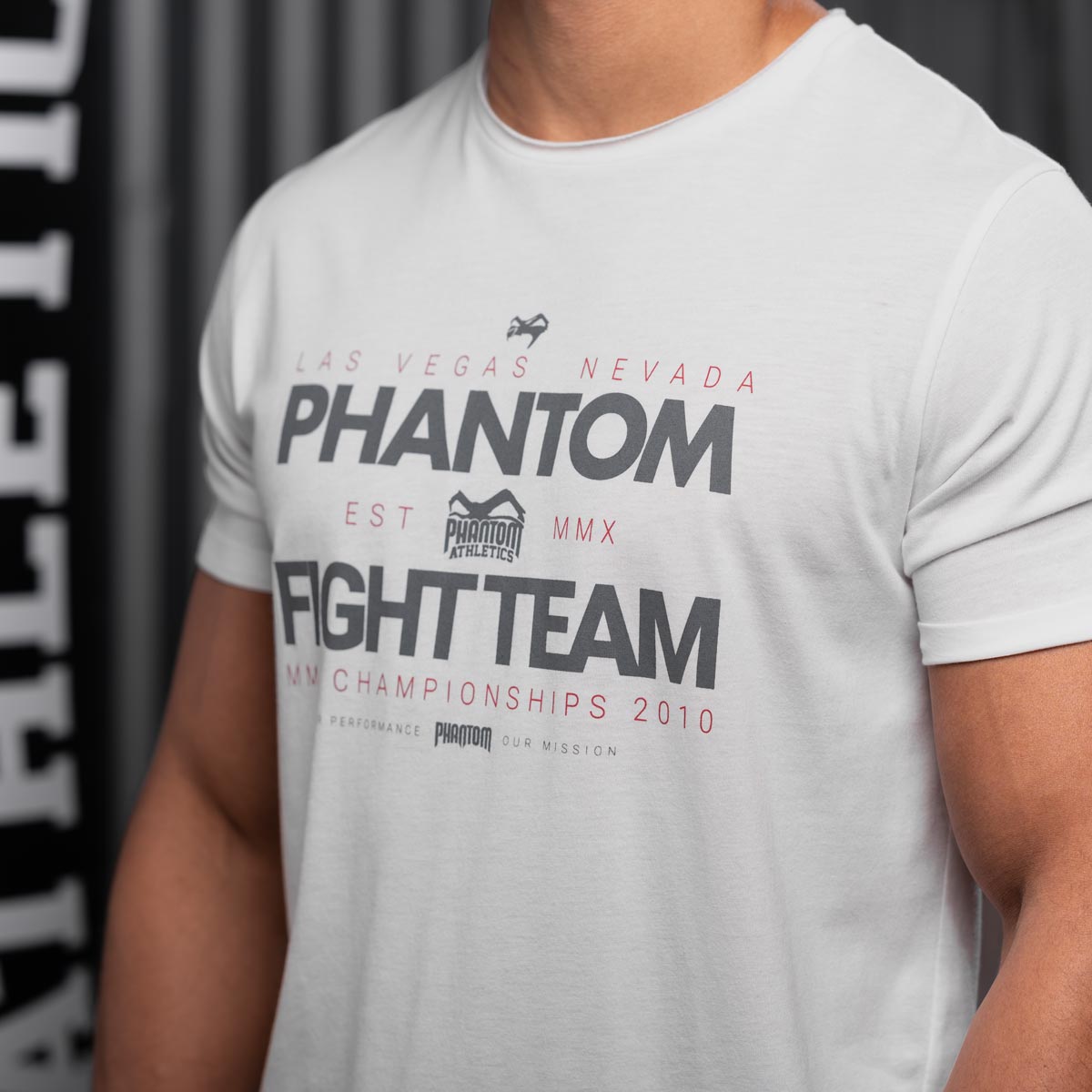 T-Shirt Fight Team - Hellgrau