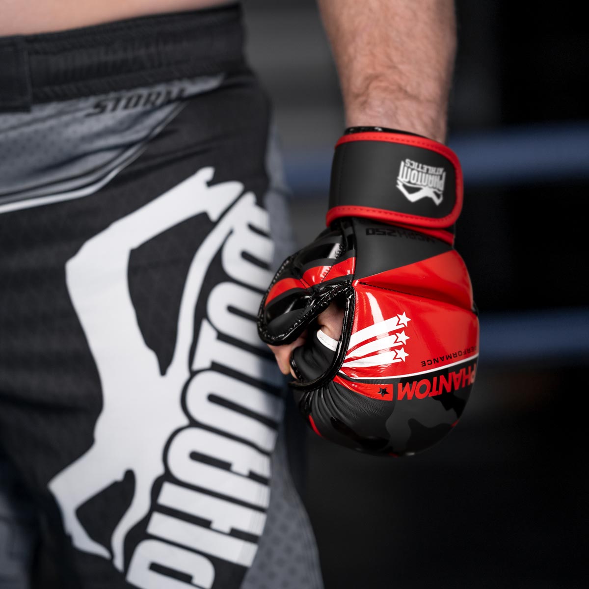 Die Phantom RAIDER MMA Sparringshandschuhe verfügen über eine hervorragende Rundum-Schutzwirkung deiner Hände für deinen Kampfsport