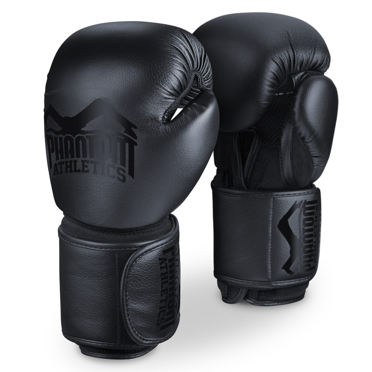 boxsack training handschuhe Boxhandschuhe Elite ATF | BLACKOUT EDITION