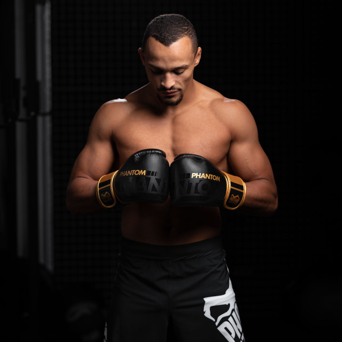 Goldene Boxhandschuhe mit starker Polsterung und ergonomischer Passform für optimalen Schutz der Hände. Ideal für ambitionierte Kampfsportler von Phantom Athletics.