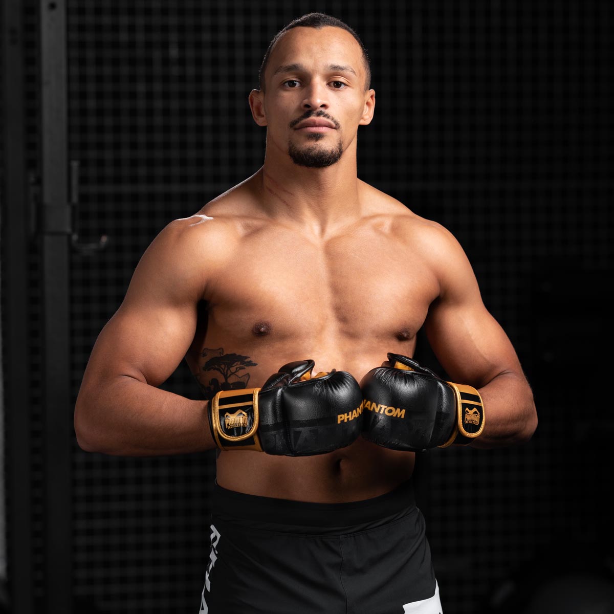 handschuhe beweglichkeit Gold MMA Sparrings Handschuhe | Kampfsport Fight Training